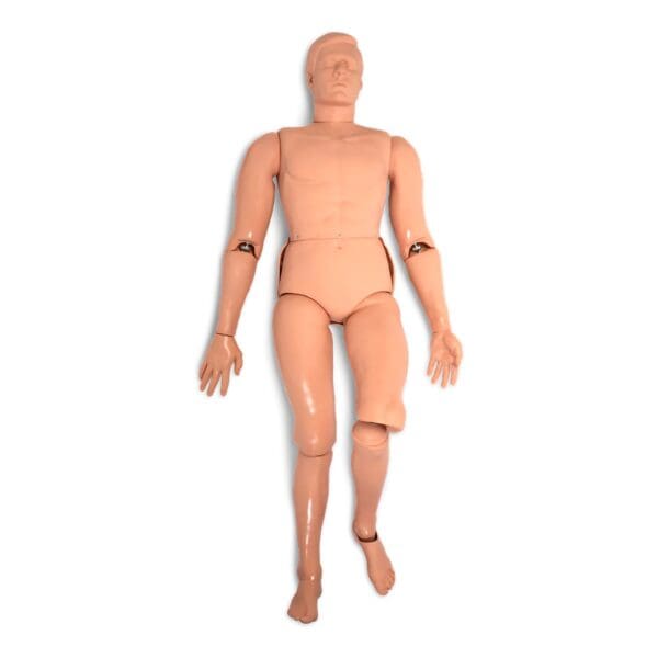 Nasco Healthcare - MANNEQUIN