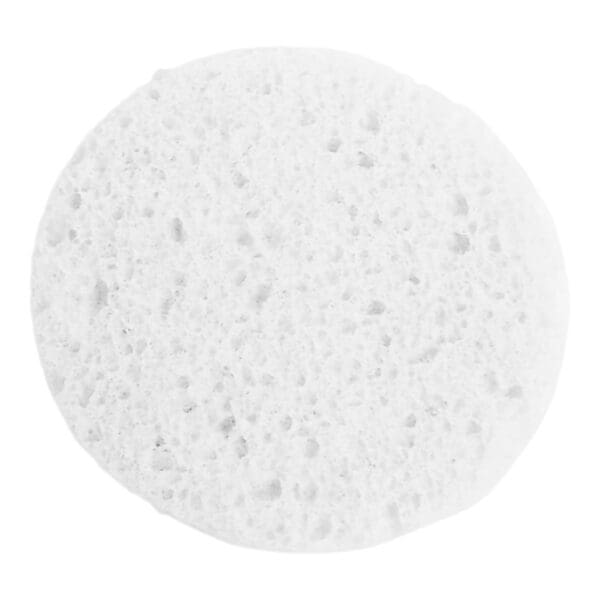 Prosana Facial Sponge