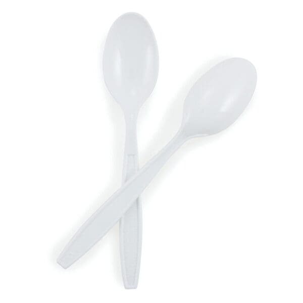 McKesson Polypropylene Spoon