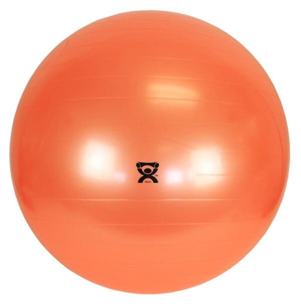 CanDo® Exercise Ball
