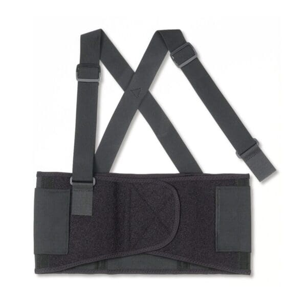 ProFlex® 1650 Back Support