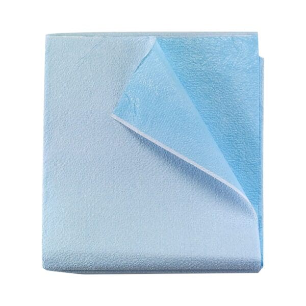 Tidi® Everyday Blue Flat Stretcher Sheet