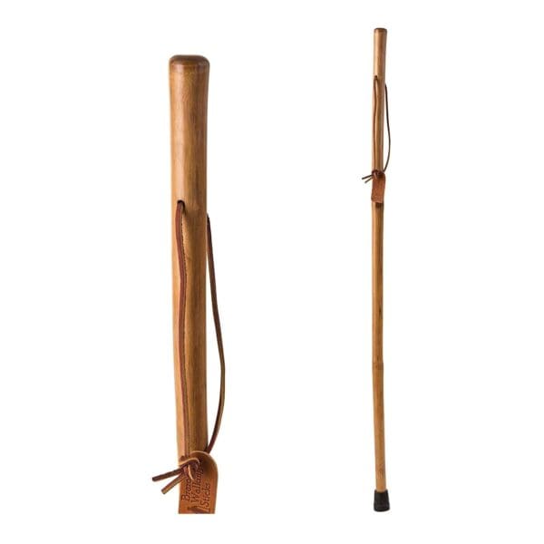 Brazos™ Iron Bamboo Rustic Walking Stick