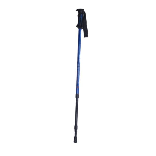 Alex Ortho - CANE