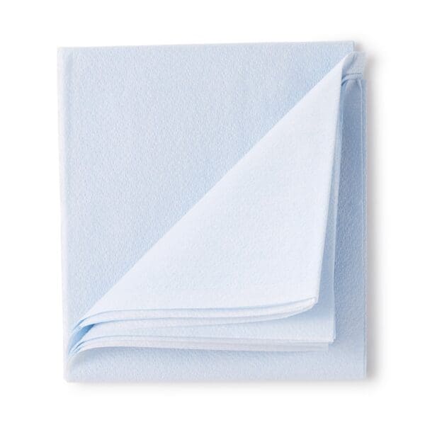 McKesson Blue Flat Stretcher Sheet