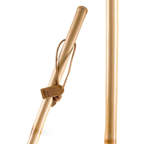 Brazos™ Iron Bamboo Rustic Walking Stick