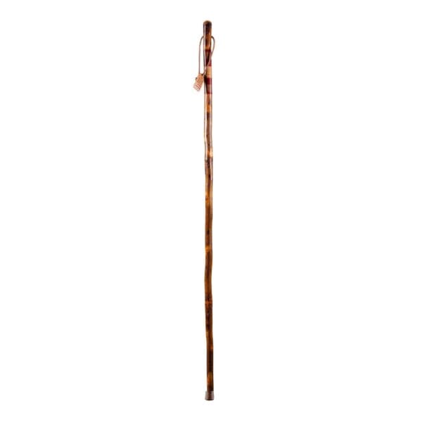 Brazos™ Free Form Safari Walking Stick