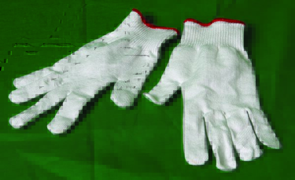 LDI - GLOVE