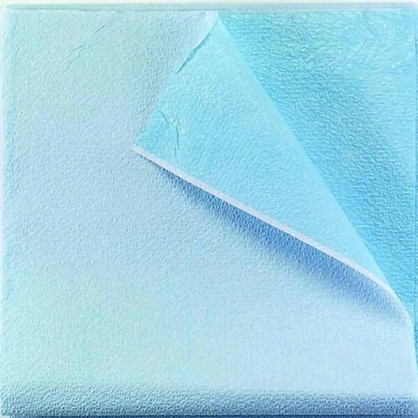 Tidi® Everyday Blue Stretcher Sheet